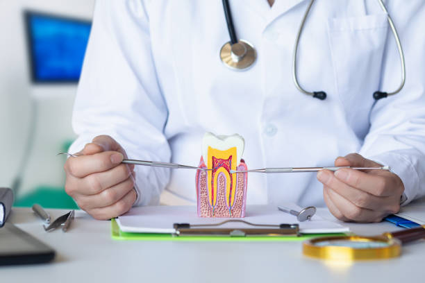 Best Pediatric Emergency Dentist in North Richmond, CA